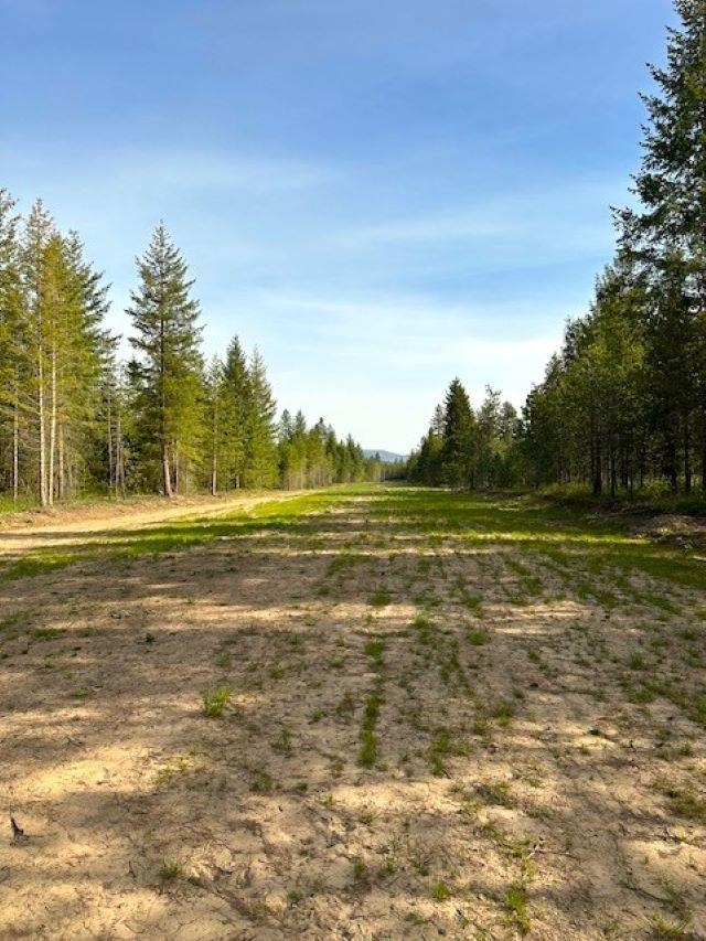 Photo 4 of 31 of 4026 Black Pine Way land