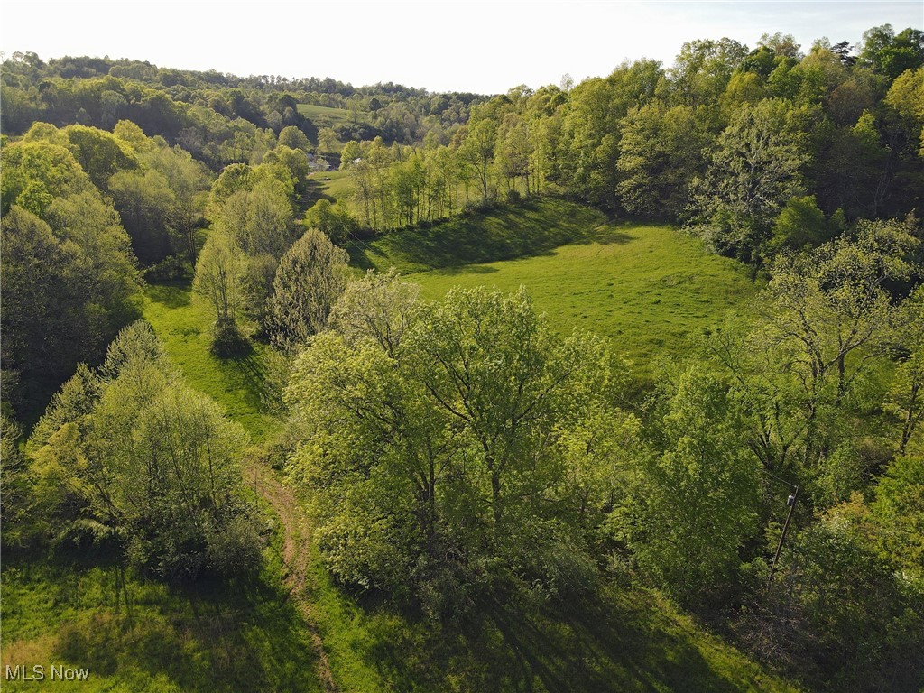 Photo 5 of 6 of 1429 Willow Run Road land