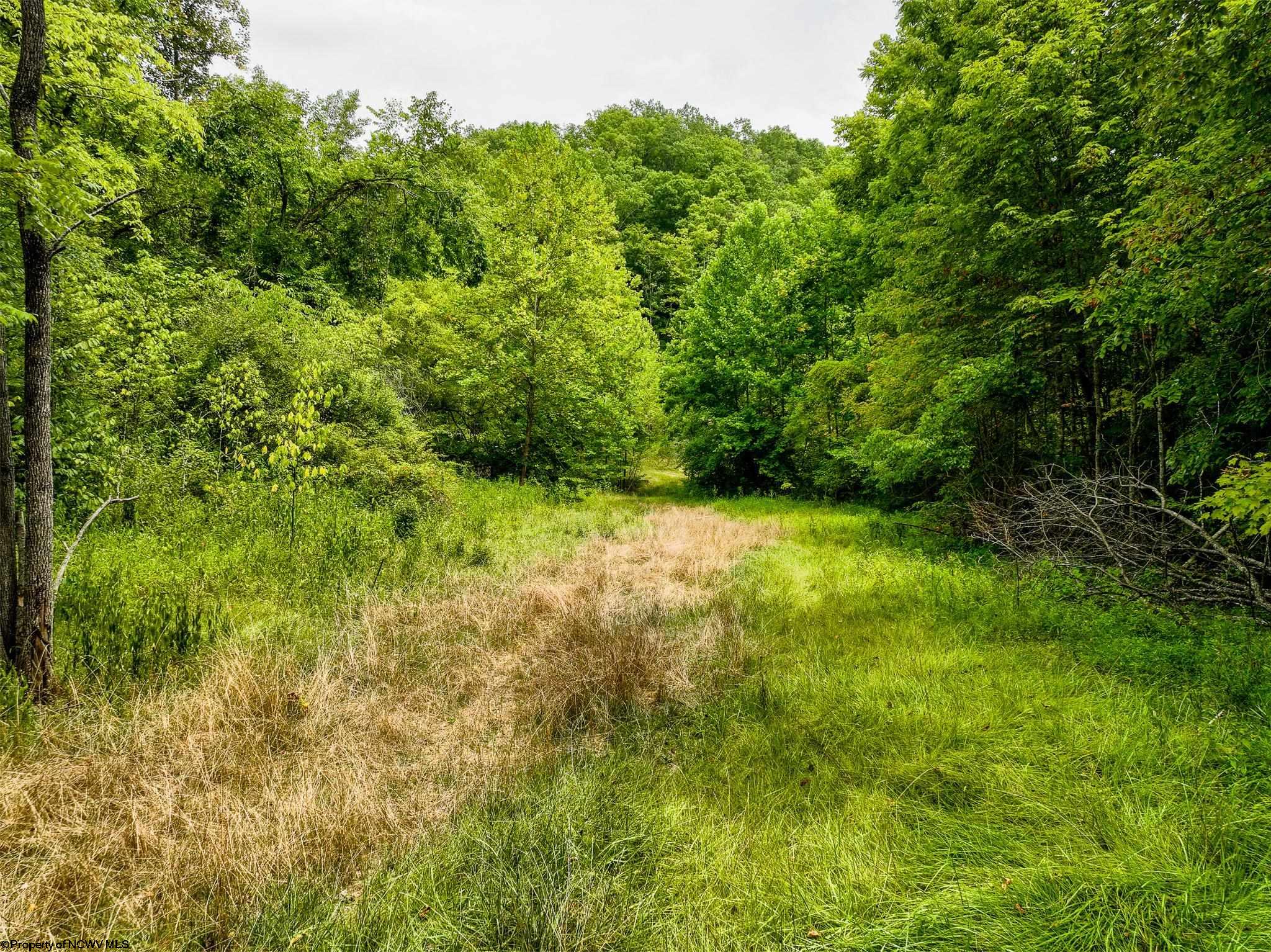 Photo 1 of 17 of 229 Camp Creek Road land