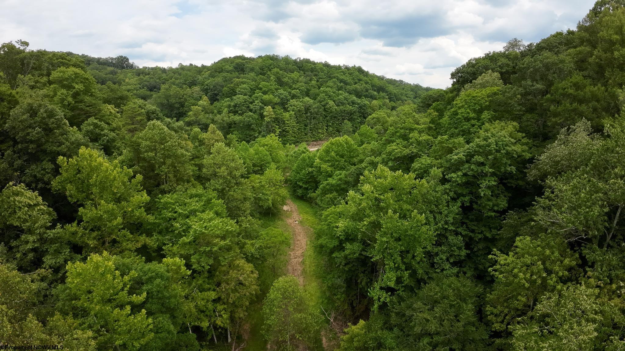 Photo 10 of 17 of 229 Camp Creek Road land