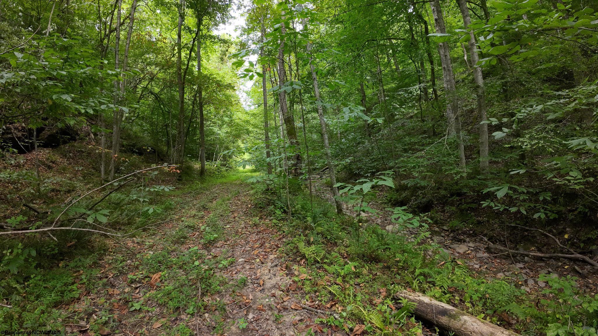 Photo 13 of 17 of 229 Camp Creek Road land