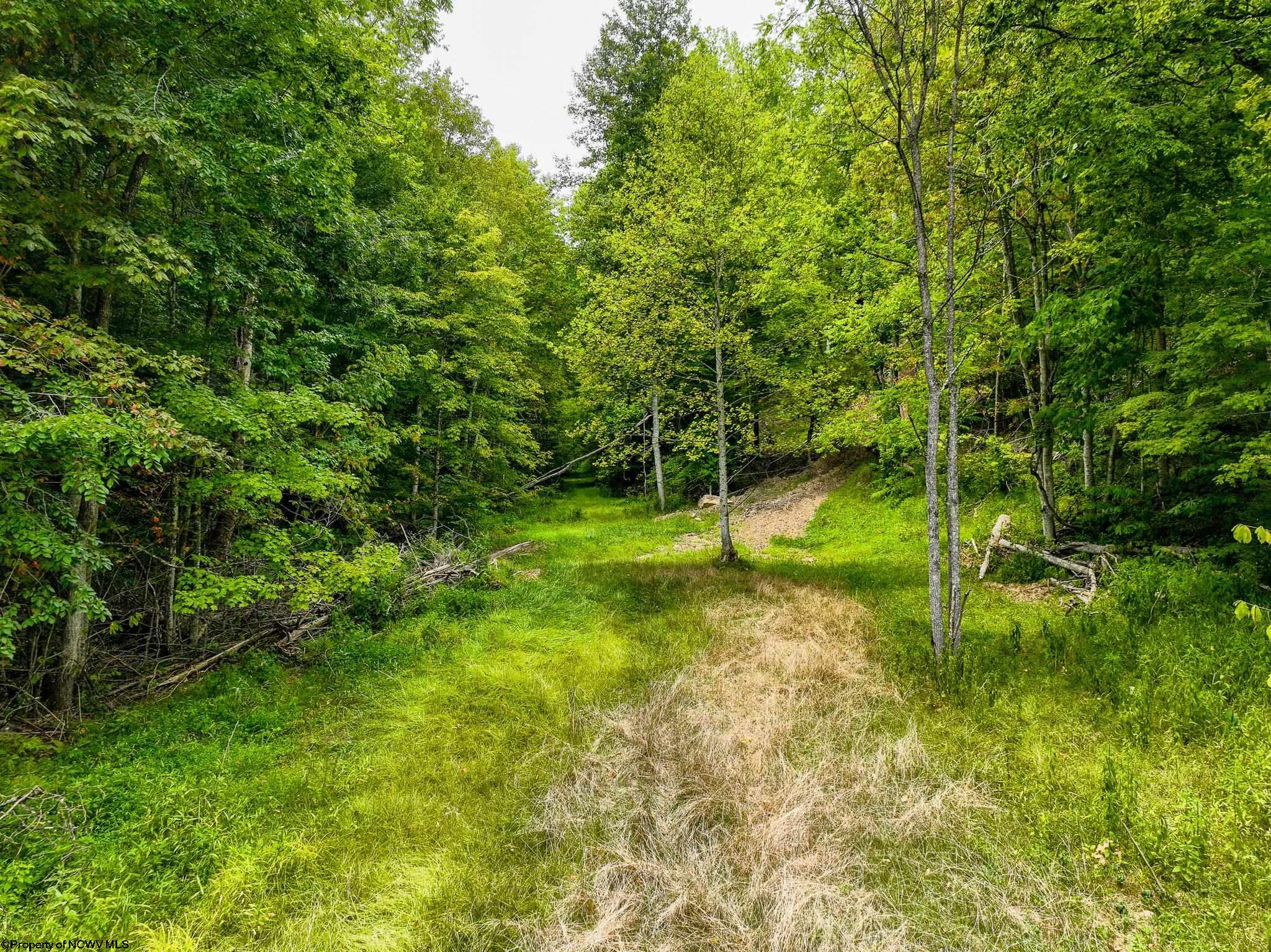 Photo 3 of 17 of 229 Camp Creek Road land