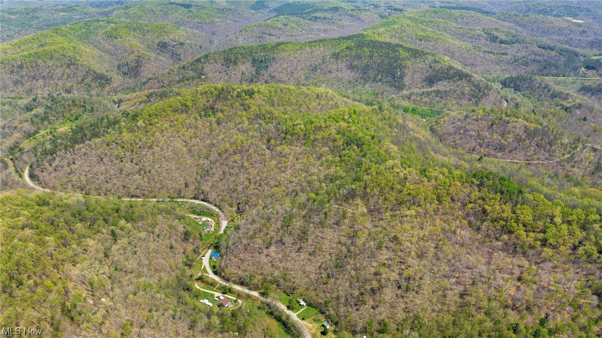 Photo 4 of 35 of 8872 Big Island Run land