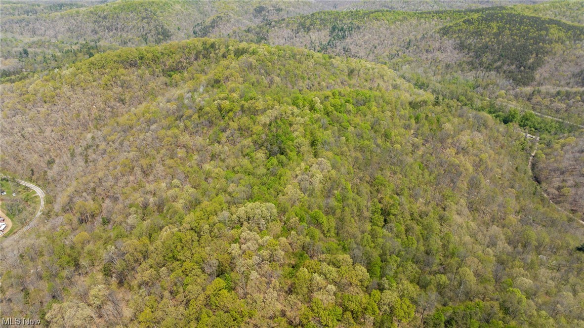 Photo 6 of 35 of 8872 Big Island Run land