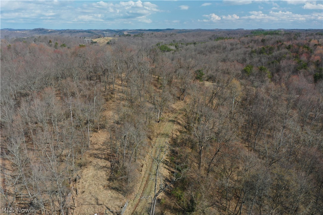 Photo 14 of 44 of 0001 Sarvis Fork Road land