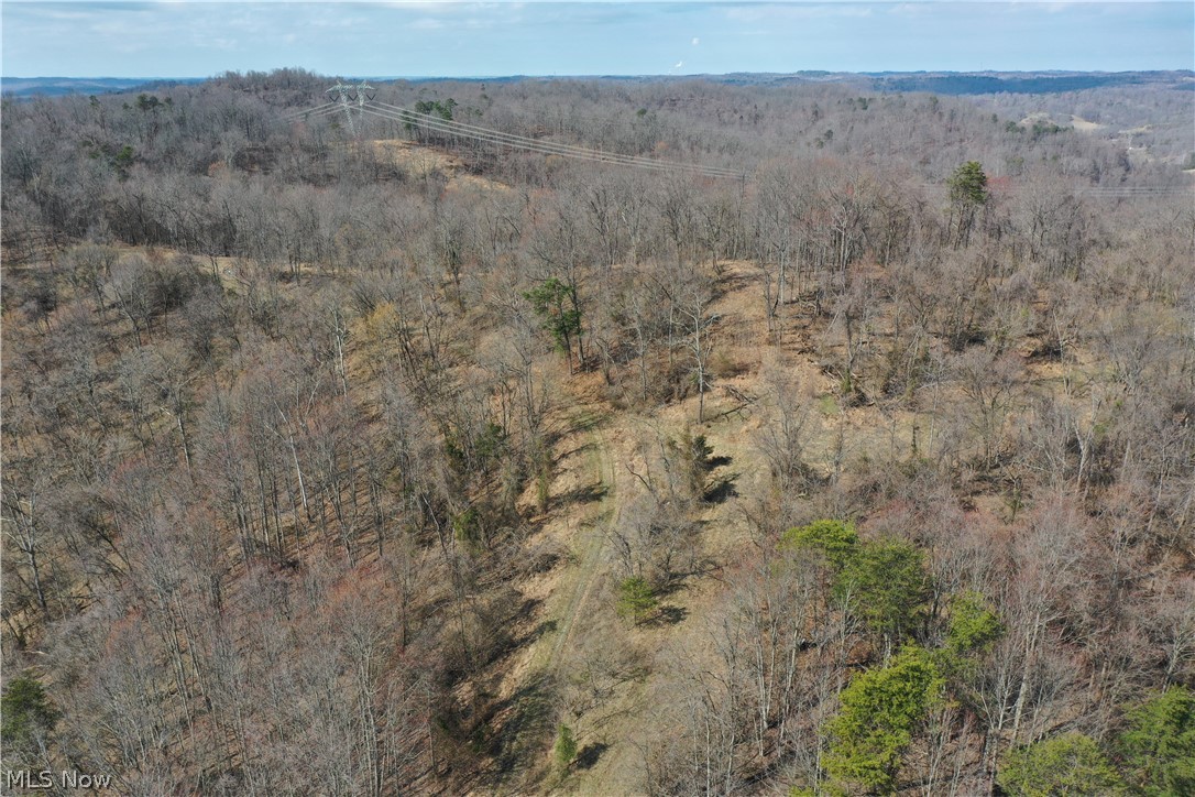 Photo 18 of 44 of 0001 Sarvis Fork Road land