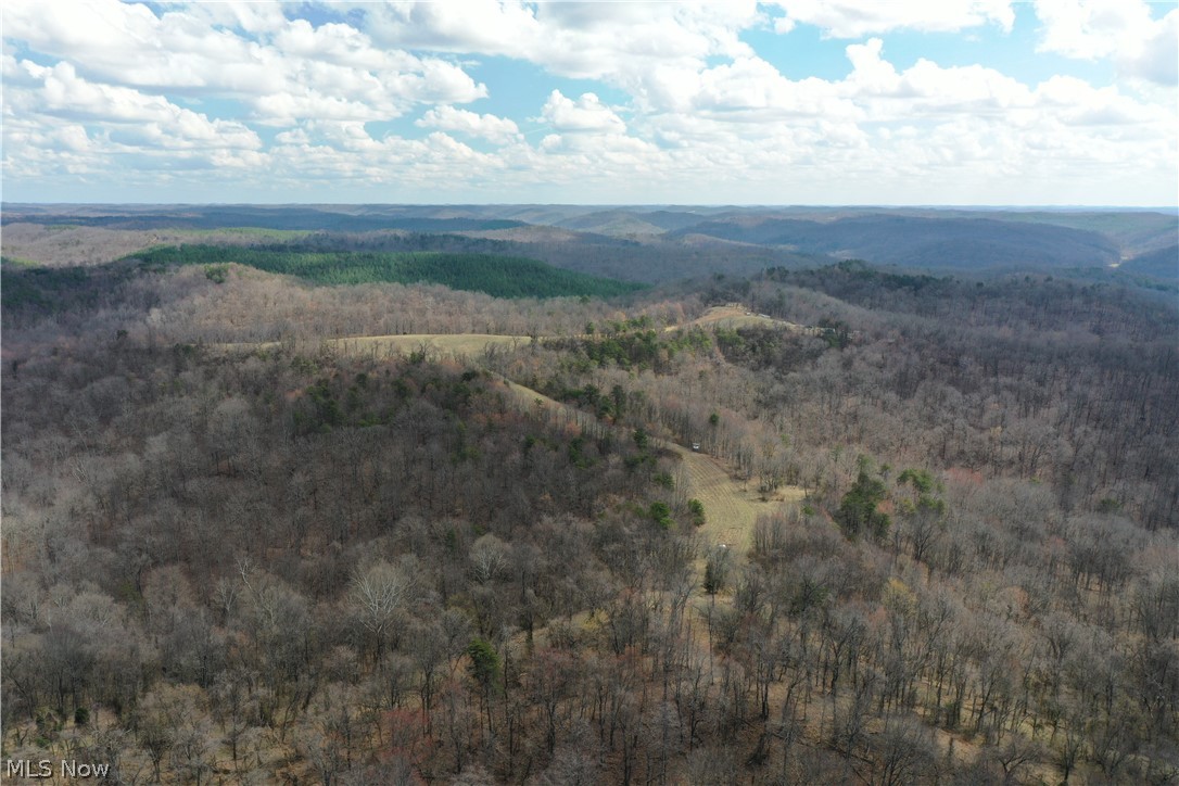 Photo 2 of 44 of 0001 Sarvis Fork Road land