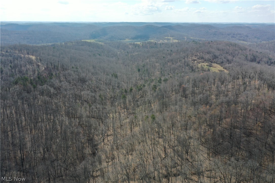 Photo 24 of 44 of 0001 Sarvis Fork Road land