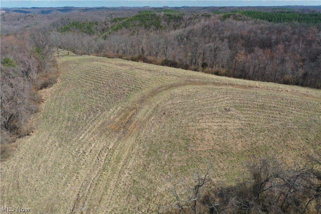 Photo 3 of 44 of 0001 Sarvis Fork Road land