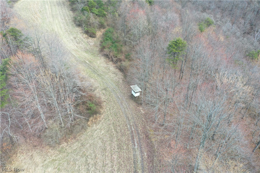 Photo 30 of 44 of 0001 Sarvis Fork Road land