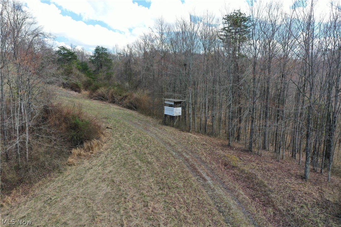 Photo 31 of 44 of 0001 Sarvis Fork Road land