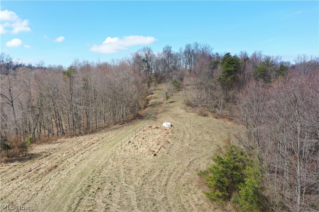 Photo 34 of 44 of 0001 Sarvis Fork Road land