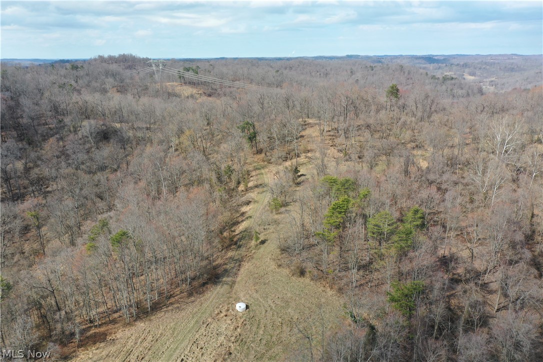 Photo 4 of 44 of 0001 Sarvis Fork Road land