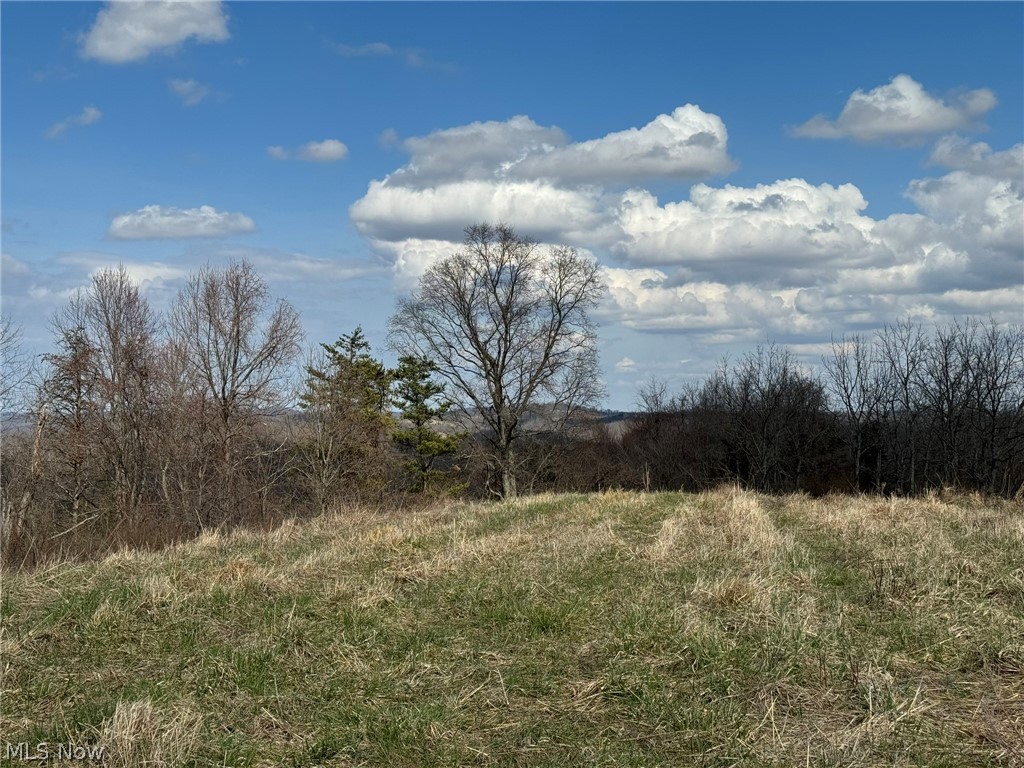 Photo 40 of 44 of 0001 Sarvis Fork Road land