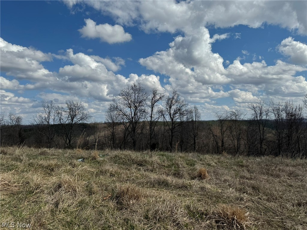 Photo 42 of 44 of 0001 Sarvis Fork Road land