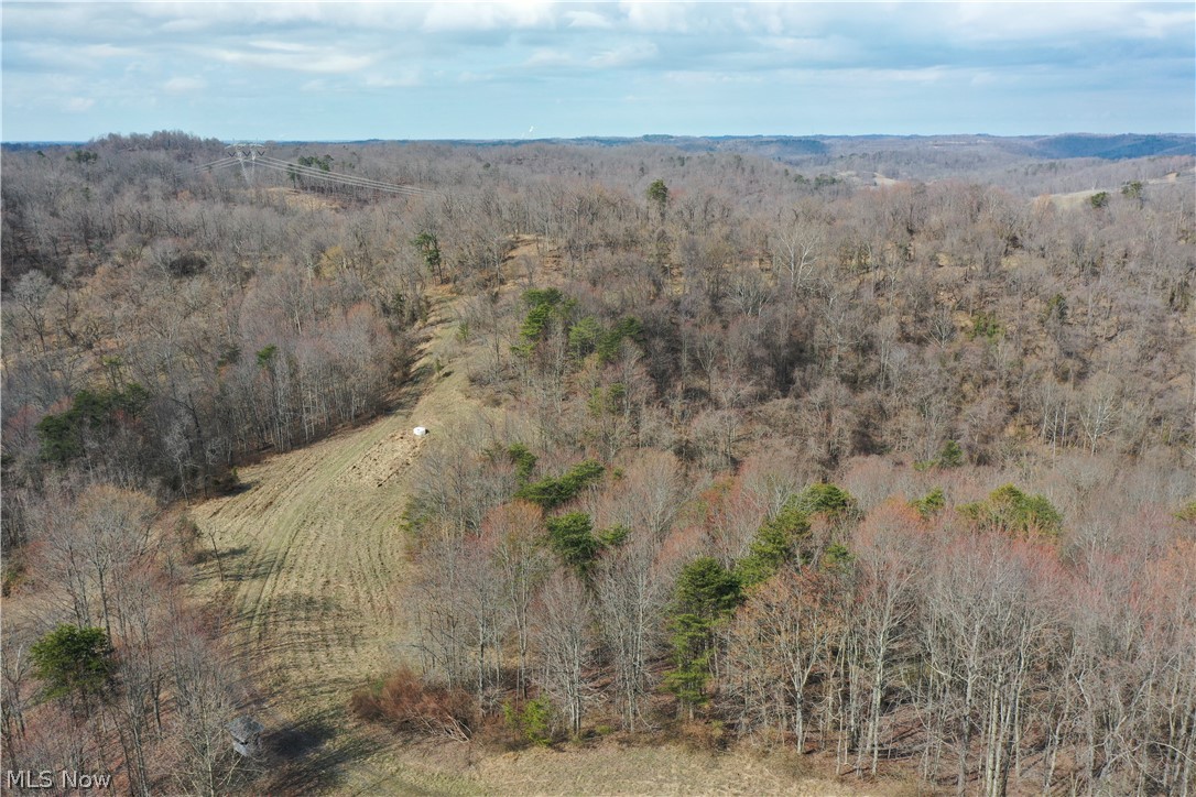 Photo 5 of 44 of 0001 Sarvis Fork Road land