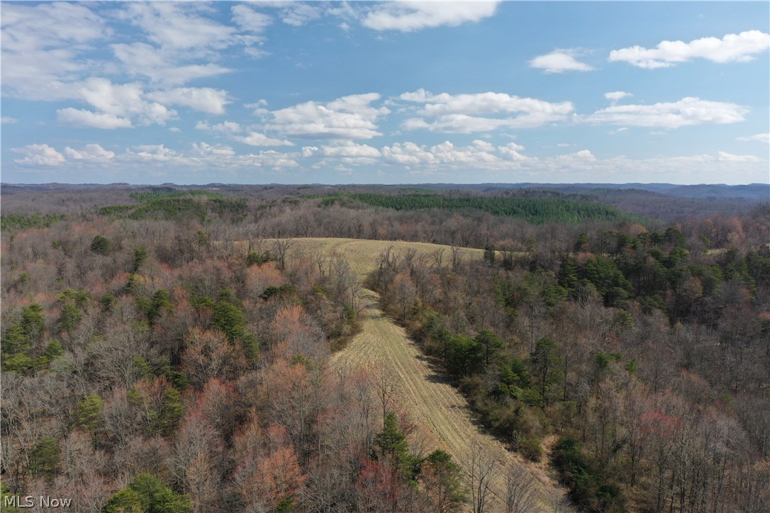 Photo 6 of 44 of 0001 Sarvis Fork Road land