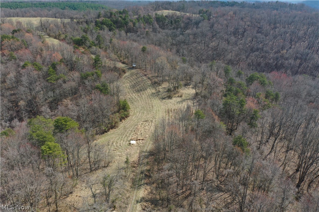 Photo 7 of 44 of 0001 Sarvis Fork Road land